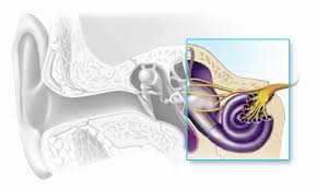 Sensorineural hearing